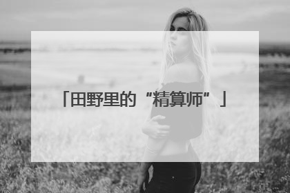 田野里的“精算师”