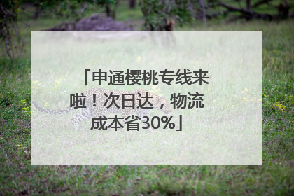 申通樱桃专线来啦！次日达，物流成本省30%