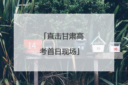 直击甘肃高考首日现场