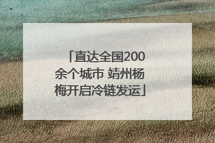 直达全国200余个城市 靖州杨梅开启冷链发运