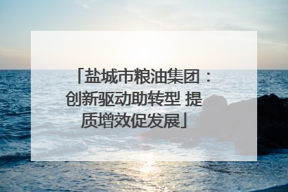 盐城市粮油集团：创新驱动助转型 提质增效促发展