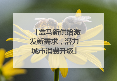 盒马新供给激发新需求，潜力城市消费升级