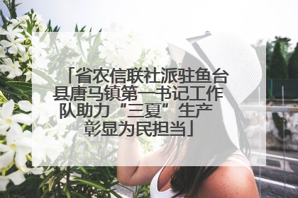省农信联社派驻鱼台县唐马镇第一书记工作队助力“三夏”生产 彰显为民担当