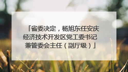 省委决定，杨旭东任安庆经济技术开发区党工委书记兼管委会主任（副厅级）