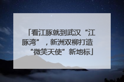 看江豚就到武汉“江豚湾”，新洲双柳打造“微笑天使”新地标