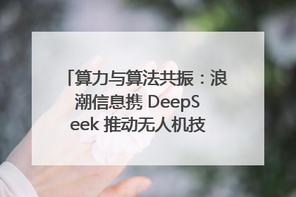 算力与算法共振：浪潮信息携 DeepSeek 推动无人机技术在舟山落地
