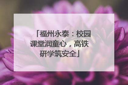 福州永泰：校园课堂润童心，高铁研学筑安全