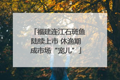福建连江石斑鱼陆续上市 休渔期成市场“宠儿”