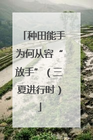 种田能手为何从容“放手”（三夏进行时）