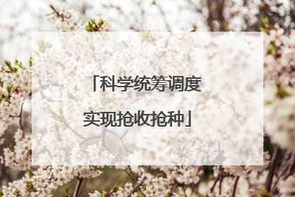 科学统筹调度实现抢收抢种