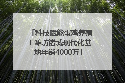 科技赋能蛋鸡养殖！潍坊诸城现代化基地年销4000万