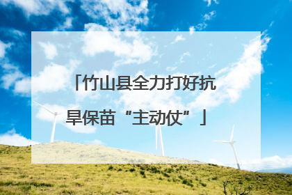 竹山县全力打好抗旱保苗“主动仗”