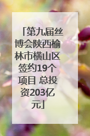 第九届丝博会陕西榆林市横山区签约19个项目 总投资203亿元