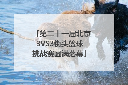 第二十一届北京3VS3街头篮球挑战赛圆满落幕