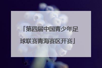 第四届中国青少年足球联赛青海赛区开赛