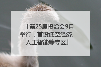 第25届投洽会9月举行，首设低空经济、人工智能等专区