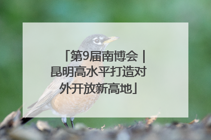 第9届南博会｜昆明高水平打造对外开放新高地