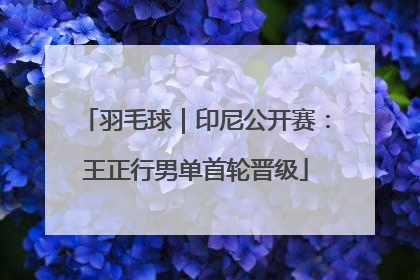 羽毛球｜印尼公开赛：王正行男单首轮晋级