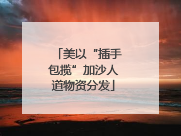美以“插手包揽”加沙人道物资分发