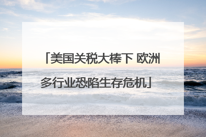 美国关税大棒下 欧洲多行业恐陷生存危机