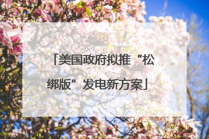 美国政府拟推“松绑版”发电新方案