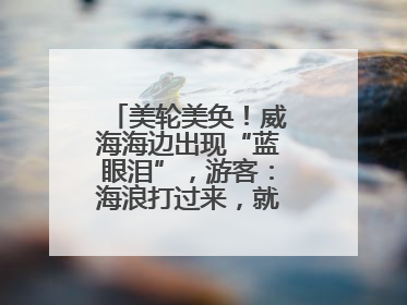 美轮美奂！威海海边出现“蓝眼泪”，游客：海浪打过来，就像星河一样