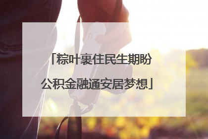 粽叶裹住民生期盼 公积金融通安居梦想