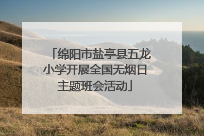 绵阳市盐亭县五龙小学开展全国无烟日主题班会活动