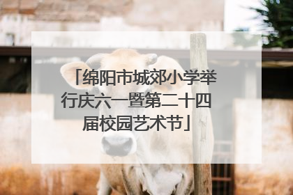 绵阳市城郊小学举行庆六一暨第二十四届校园艺术节