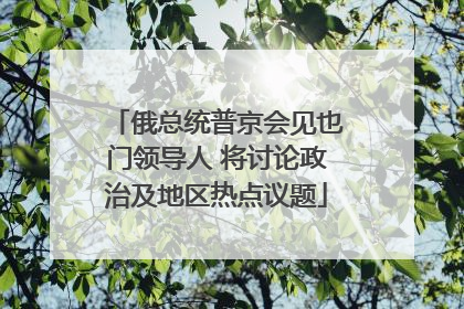 俄总统普京会见也门领导人 将讨论政治及地区热点议题