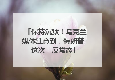 保持沉默！乌克兰媒体注意到，特朗普这次一反常态