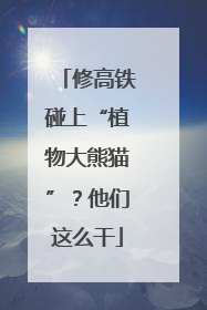 修高铁碰上“植物大熊猫”？他们这么干