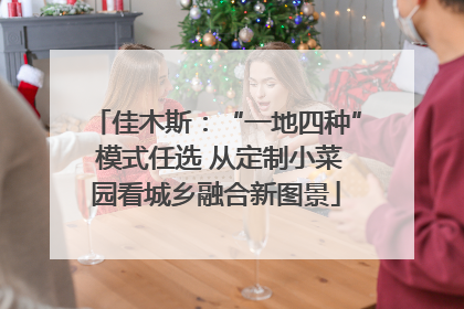 佳木斯：“一地四种” 模式任选 从定制小菜园看城乡融合新图景