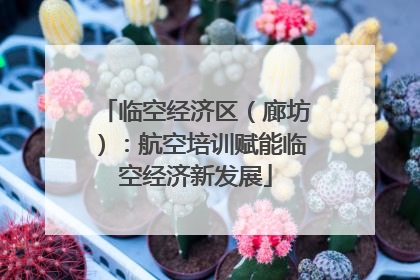 临空经济区（廊坊）：航空培训赋能临空经济新发展