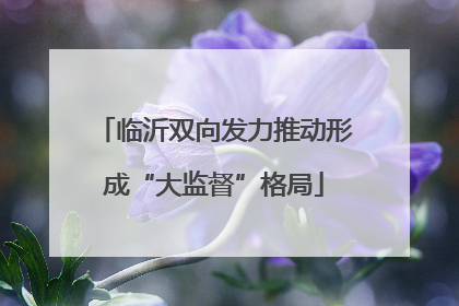 临沂双向发力推动形成“大监督”格局