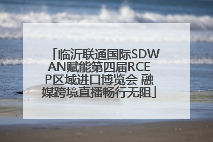 临沂联通国际SDWAN赋能第四届RCEP区域进口博览会 融媒跨境直播畅行无阻