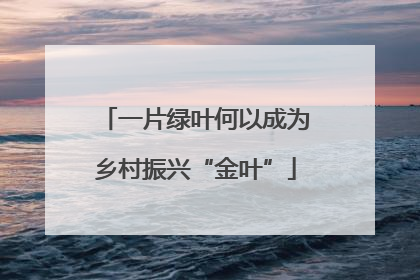 一片绿叶何以成为乡村振兴“金叶”
