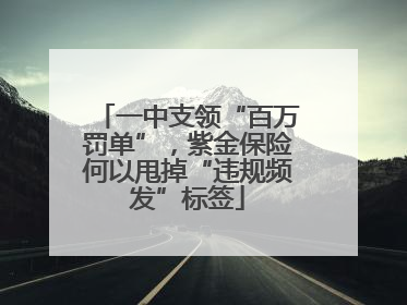 一中支领“百万罚单”，紫金保险何以甩掉“违规频发”标签