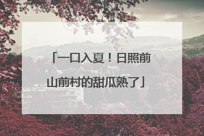 一口入夏！日照前山前村的甜瓜熟了