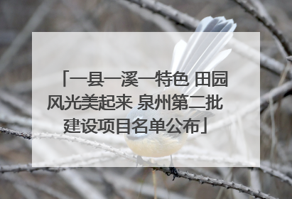 一县一溪一特色 田园风光美起来 泉州第二批建设项目名单公布