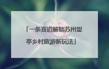 一条赛道解锁苏州望亭乡村旅游新玩法