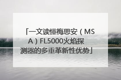 一文读懂梅思安（MSA）FL5000火焰探测器的多重革新性优势