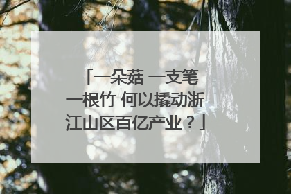 一朵菇 一支笔 一根竹 何以撬动浙江山区百亿产业？