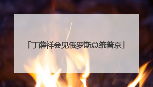 丁薛祥会见俄罗斯总统普京