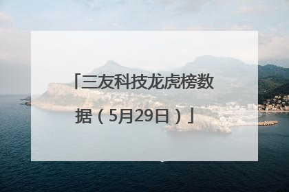 三友科技龙虎榜数据（5月29日）