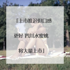 上市推迟但口感更好 四川水蜜桃将大量上市