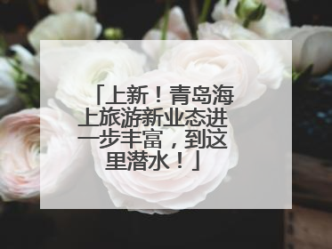 上新！青岛海上旅游新业态进一步丰富，到这里潜水！