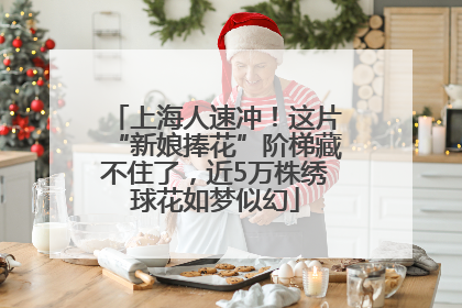 上海人速冲！这片“新娘捧花”阶梯藏不住了，近5万株绣球花如梦似幻