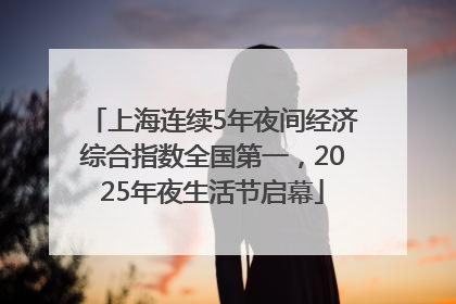 上海连续5年夜间经济综合指数全国第一，2025年夜生活节启幕