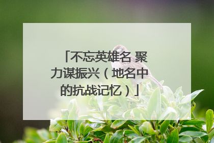不忘英雄名 聚力谋振兴（地名中的抗战记忆）